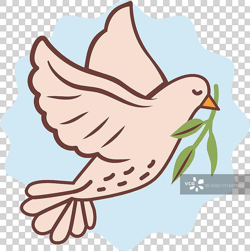 衔着绿橄榄枝的白色和平鸽图片素材