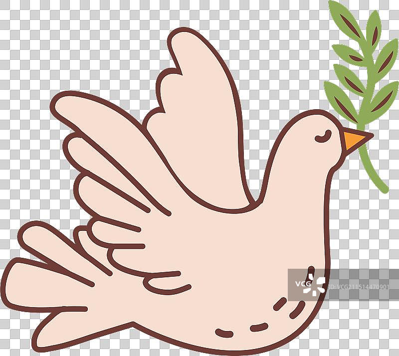 衔着树枝的白色和平鸽图片素材