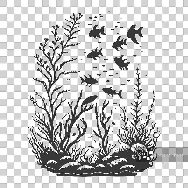 水下世界沉船：海藻与岩石图片素材