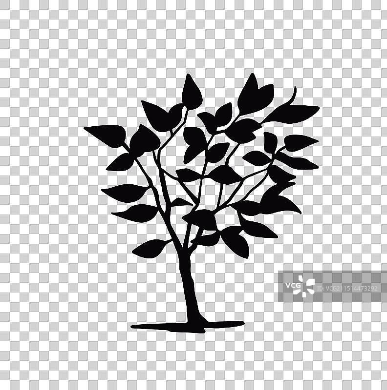 黑色落叶灌木剪影图片素材