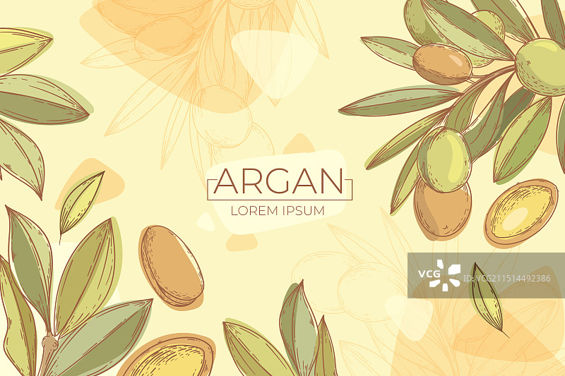 手绘摩洛哥坚果油背景图片素材