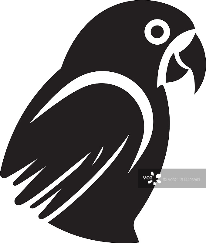 鹦鹉素描单色艺术图片素材