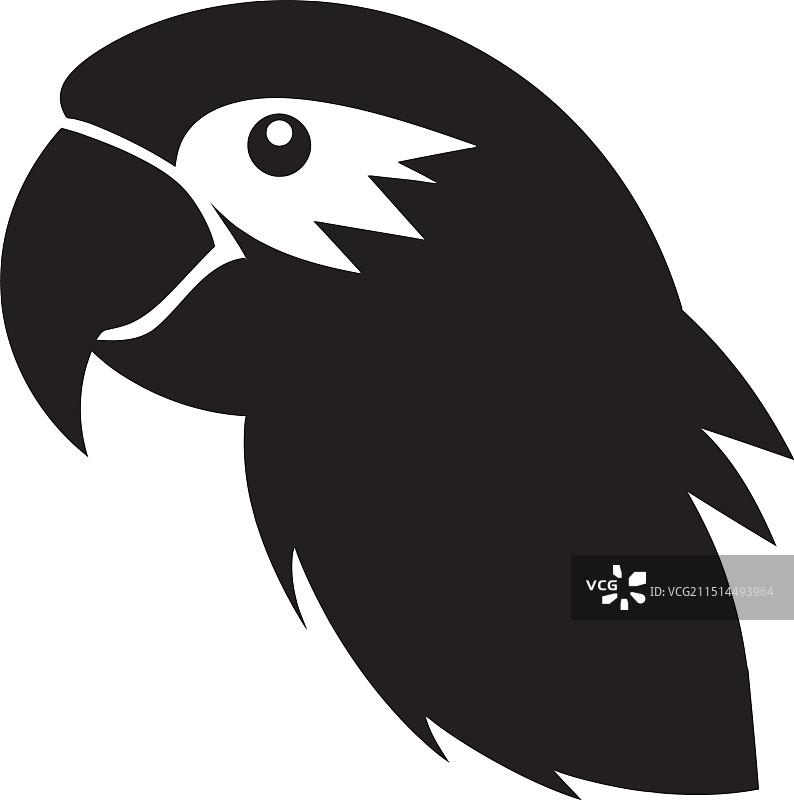 别致的鹦鹉图案黑色饰品图片素材