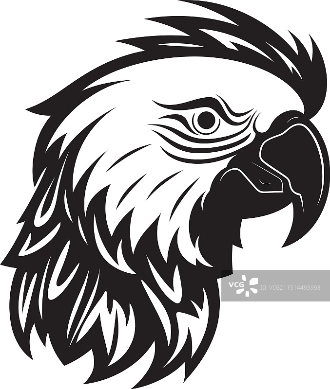 时尚黑白鹦鹉动感艺术图片素材