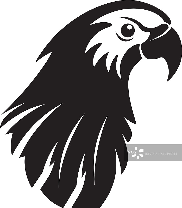 艺术鹦鹉轮廓黑色图片素材