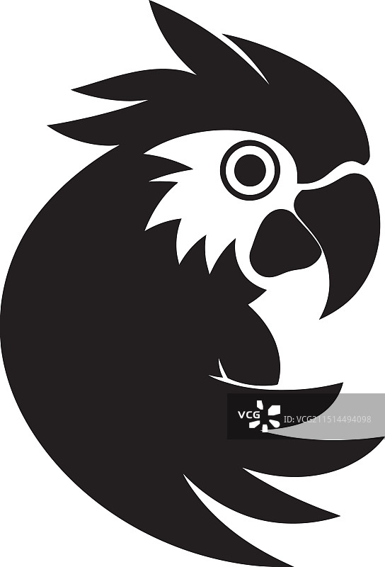 黑白风格的鹦鹉图片素材