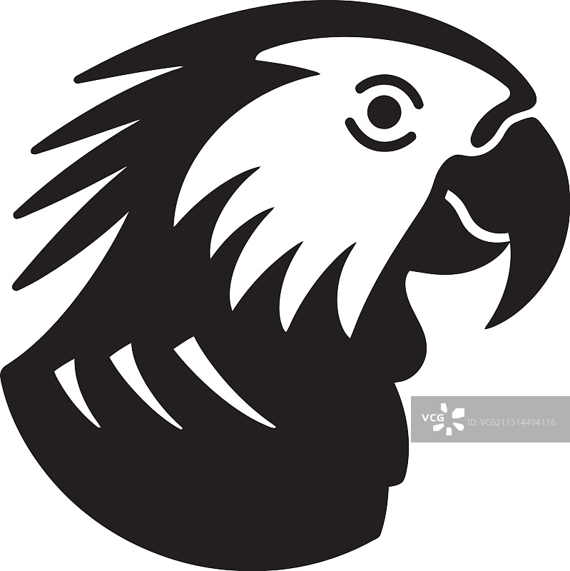 精细的黑白鹦鹉艺术图片素材