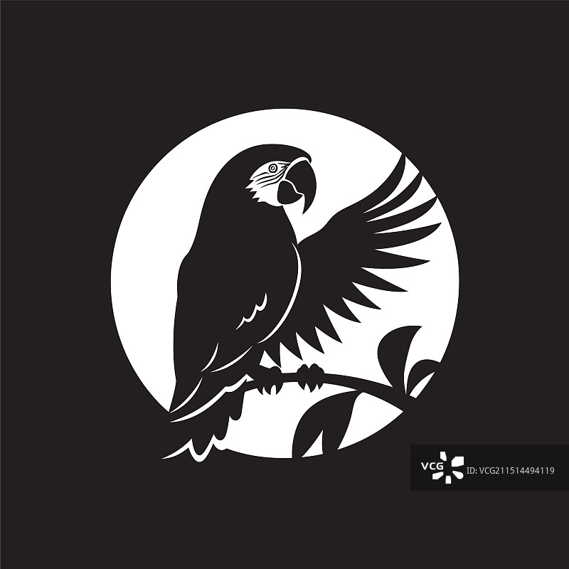 单色优雅鹦鹉素描图片素材