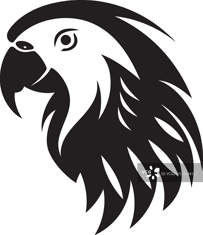 鹦鹉设计黑白优雅图片素材