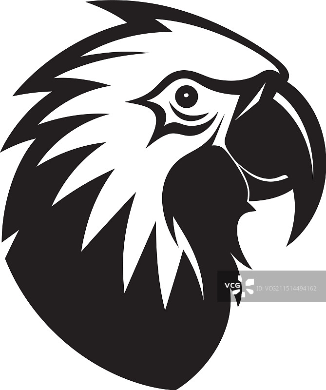 精致的鹦鹉轮廓单色鹦鹉图片素材