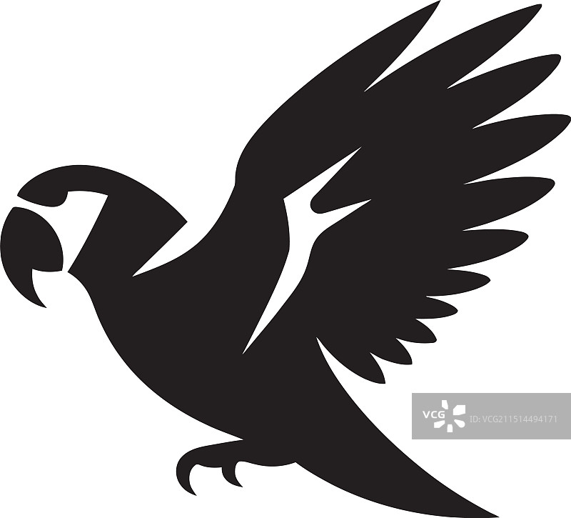 单色鹦鹉图片素材