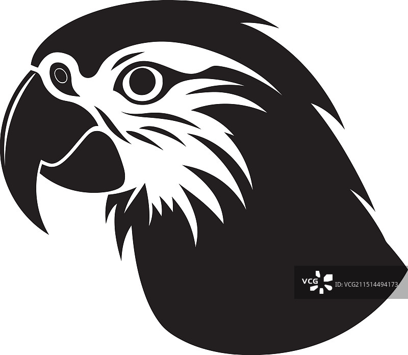 优雅的鹦鹉剪影图片素材