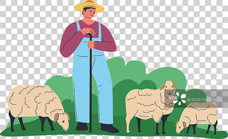 牧羊人照看羊群图片素材