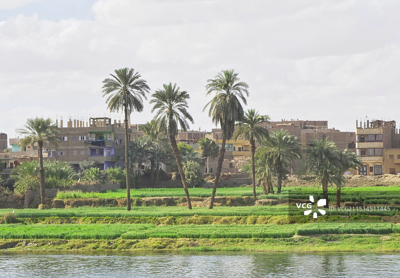 埃及尼罗河岸边图片素材