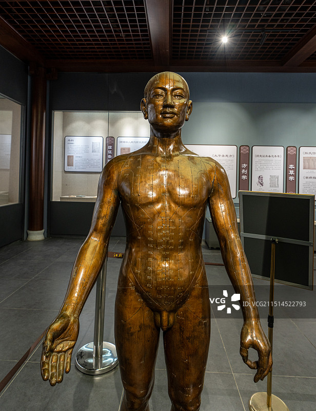 针灸铜人图片素材