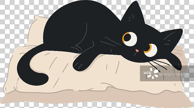 黑猫抓挠床图片素材