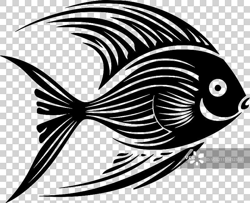 黑白神仙鱼图片素材