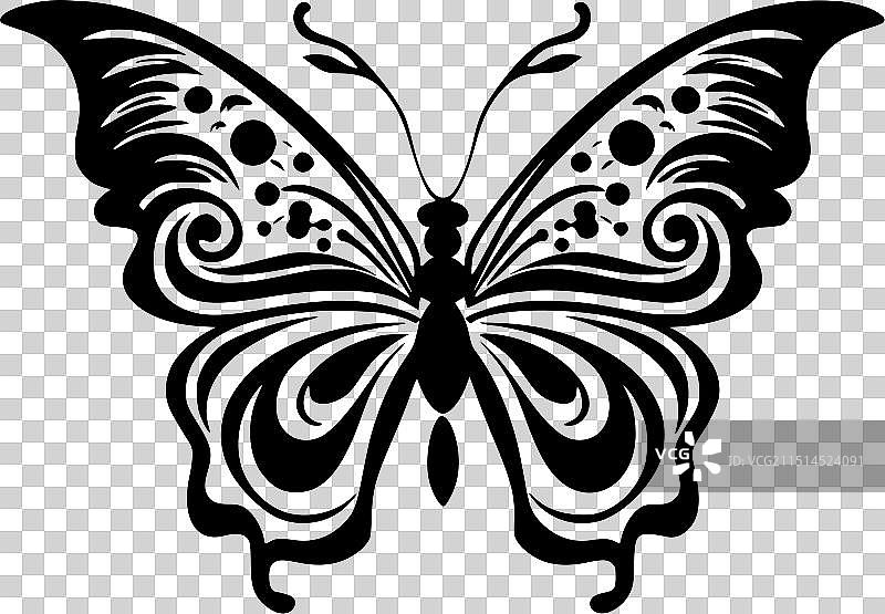 蝴蝶-极简主义和简单的轮廓图片素材