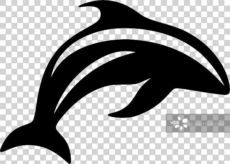 黑白海豚图片素材