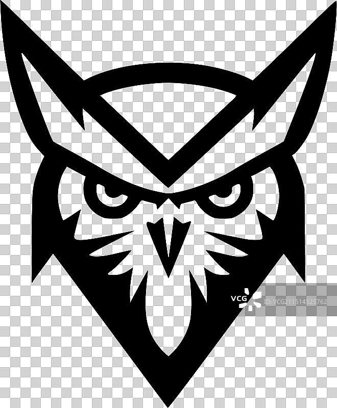 黑白猎隼图片素材