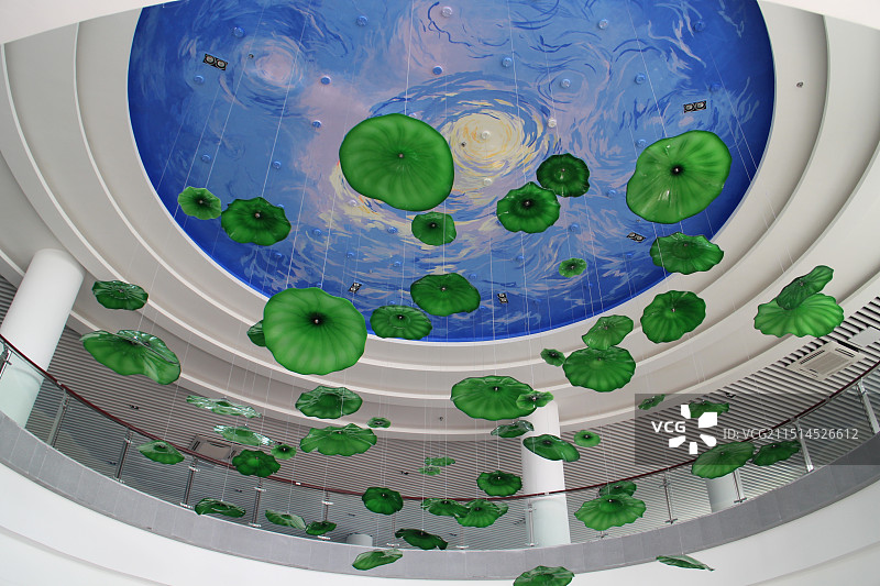 淮安市金湖荷花荡景区图片素材