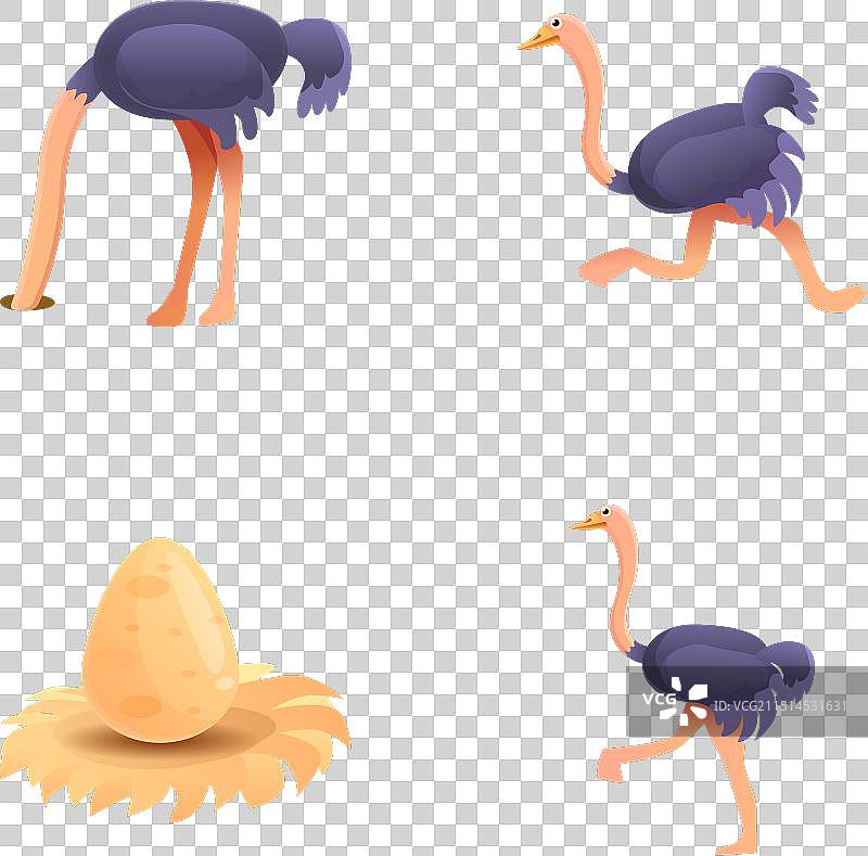 非洲鸵鸟图标卡通合集图片素材