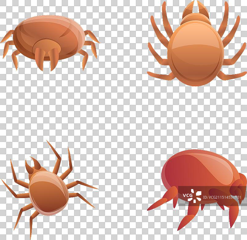 常见尘螨卡通图标图片素材