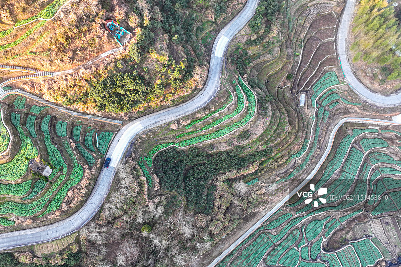 航拍下的森林田园与公路风光图片素材