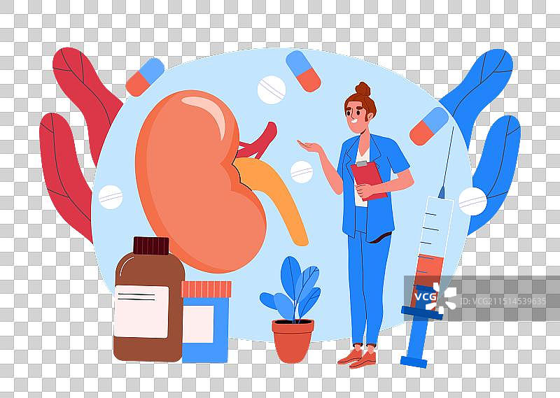 医生治疗肾脏图片素材