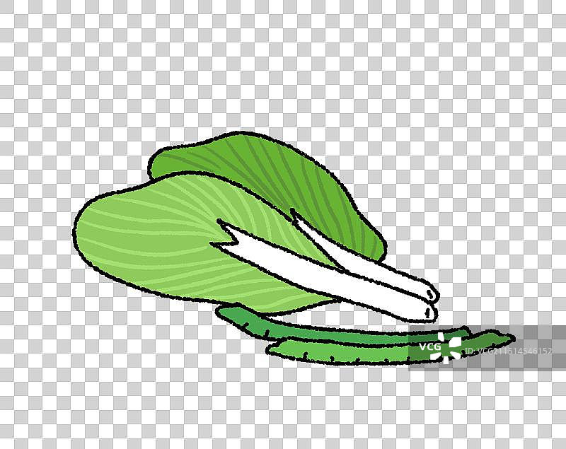 蔬菜白菜豆角图片素材