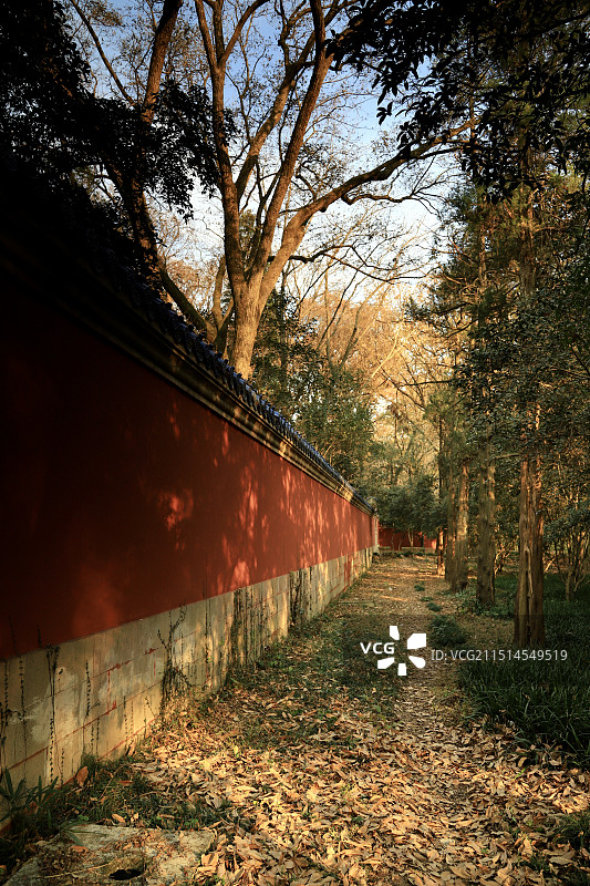 南京明孝陵的红墙图片素材