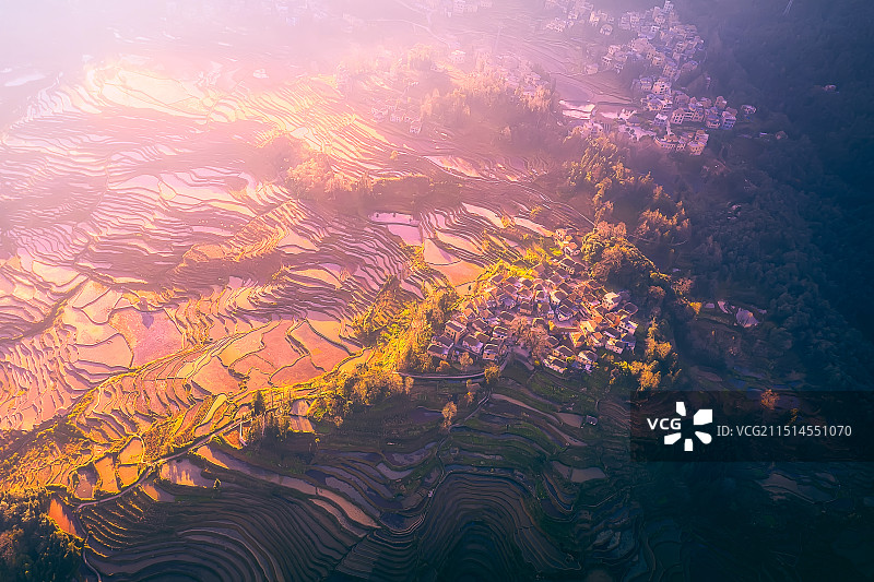 阿者科阳光下的梯田图片素材