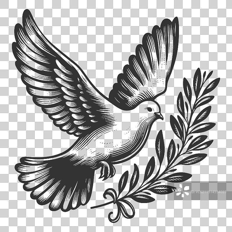 带橄榄枝的和平鸽雕刻图片素材