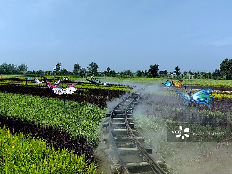 稻田小景——拍摄于沈阳稻梦空间图片素材