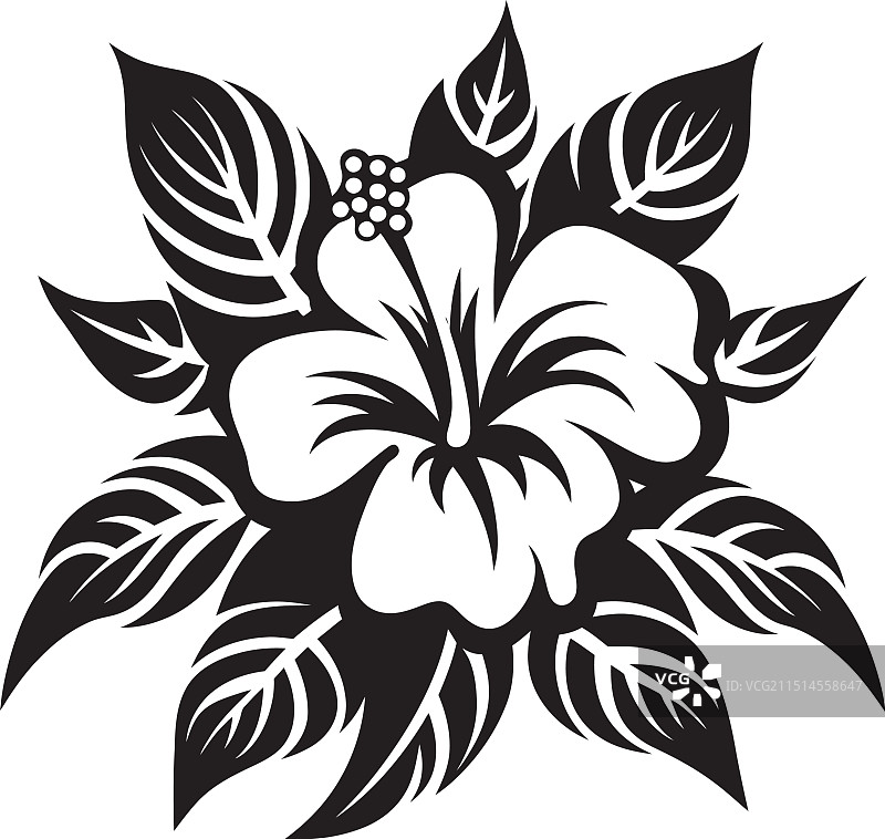 乌木魔法热带花卉P图片素材