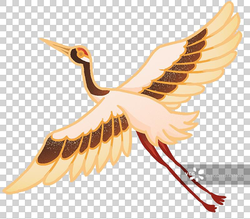 丹顶鹤飞翔国潮风动物插画元素图片素材