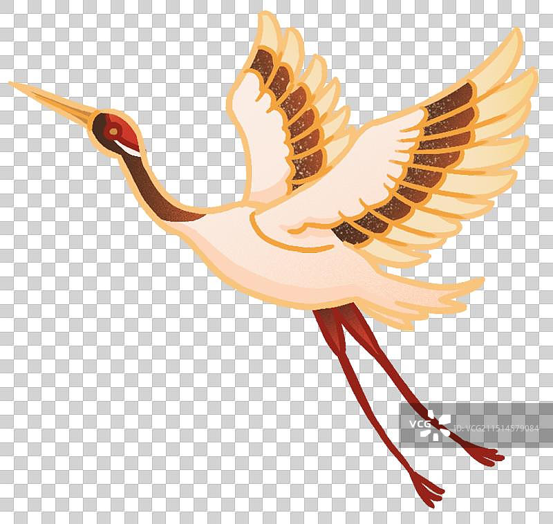 丹顶鹤飞行国潮风动物插画元素图片素材