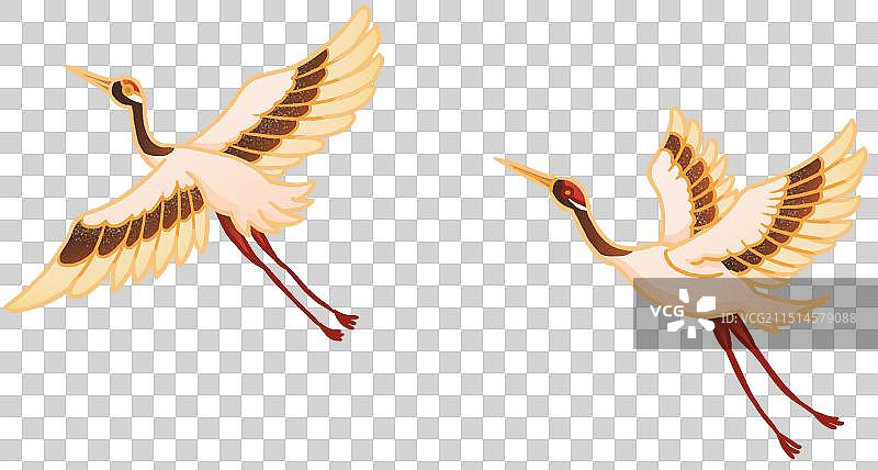 丹顶鹤国潮风动物插画元素图片素材