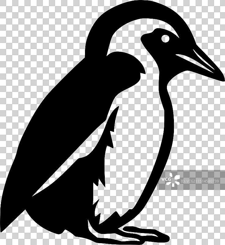 黑白企鹅隔离图标图片素材