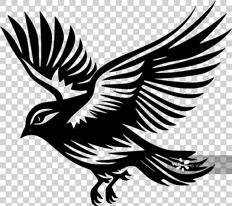 鸽子 - 黑白图片素材