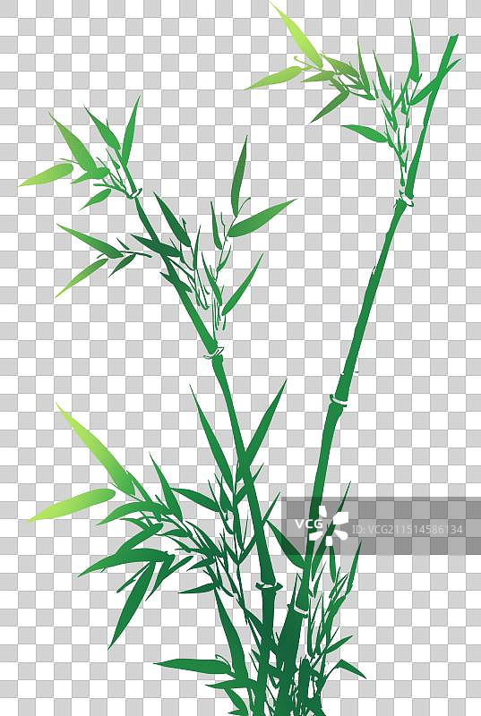 竹枝竹叶元素图片素材