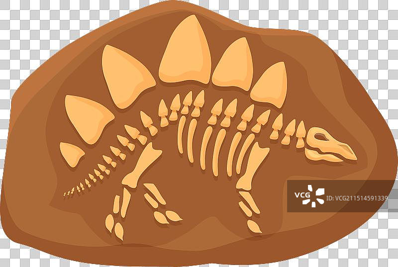 恐龙化石自然图标卡通图片素材