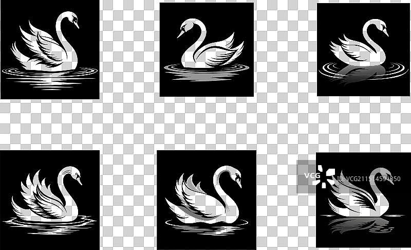 白色或黑色天鹅Logo合集图片素材