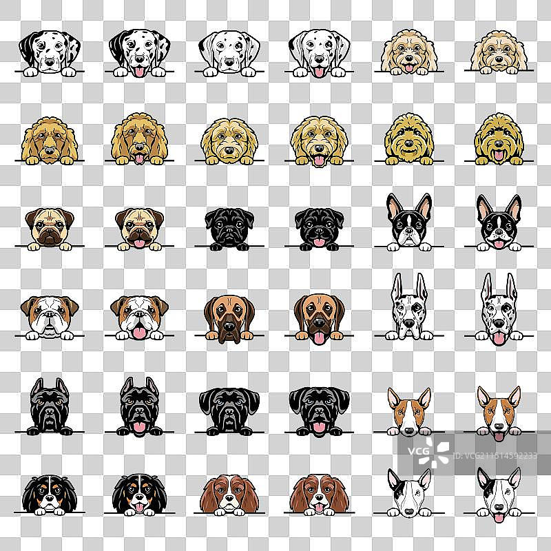 小狗探头画像集3图片素材