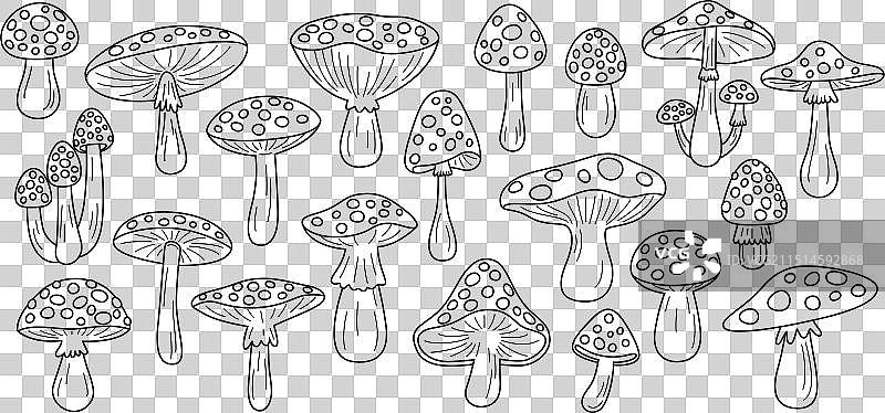 扁平手绘黑白卡通苍蝇图片素材