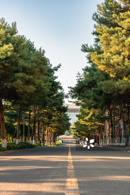 吉林省延边大学图片素材
