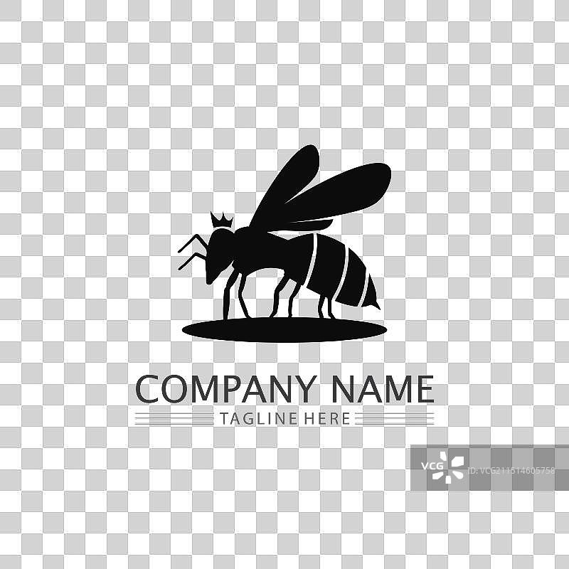 蜂蜜和蜜蜂图标动物设计图片素材