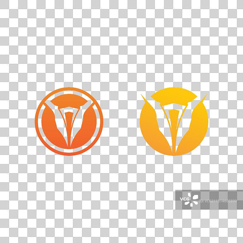 蜂蜜和蜜蜂图标动物设计图片素材