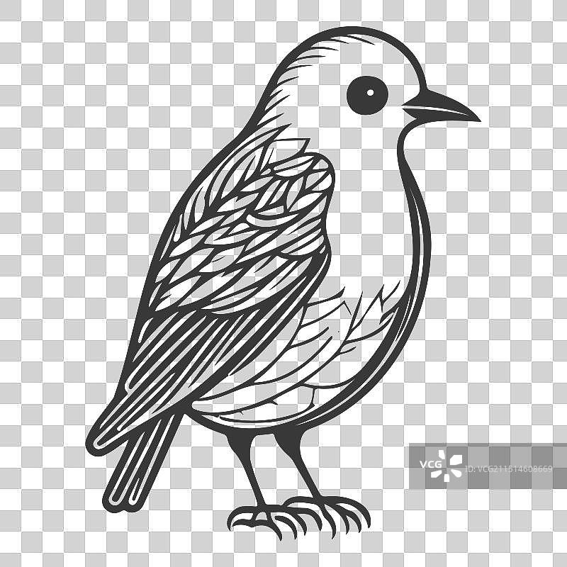 灰色涂鸦鸟图片素材