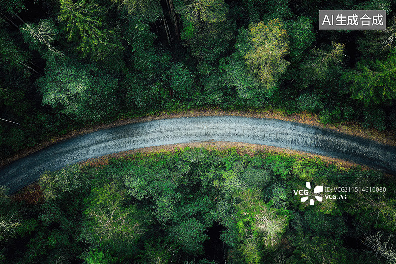【AI数字艺术】公路道路树林航拍视角穿越图片素材